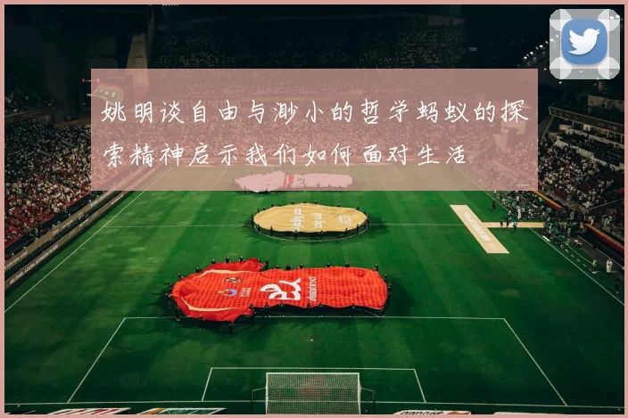 姚明谈自由与渺小的哲学蚂蚁的探索精神启示我们如何面对生活